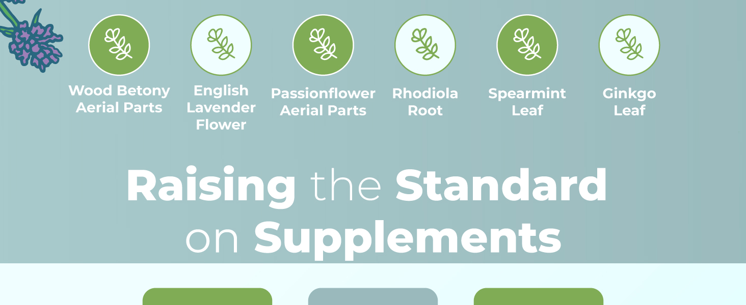 Nootropic Focus Supplement for Adults | USDA Organic Brain Supplement with Ginkgo Biloba & Astragalus | Focus & Adrenal Support | Brain and Memory Drops | Vegan | Non-GMO | Gluten Free | 30 Servings