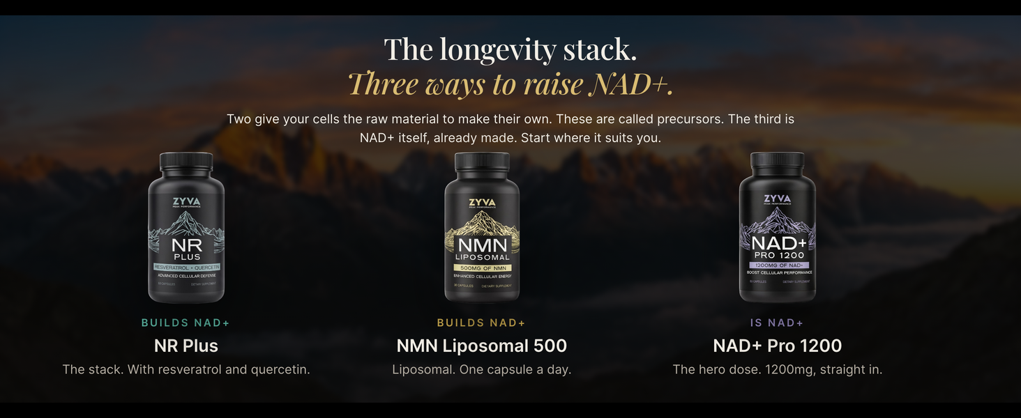 ZYVA NAD+ Pro 1200 – High-Dose Direct NAD Plus Supplement – 1200mg Per Serving – Supports Cellular Energy & Mitochondrial Function – Healthy Aging – 60 Vegan Capsules – GMP Certified
