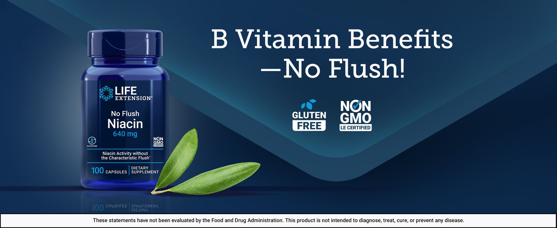 Life Extension No Flush Niacin, B3 Vitamin, 100 Capsules