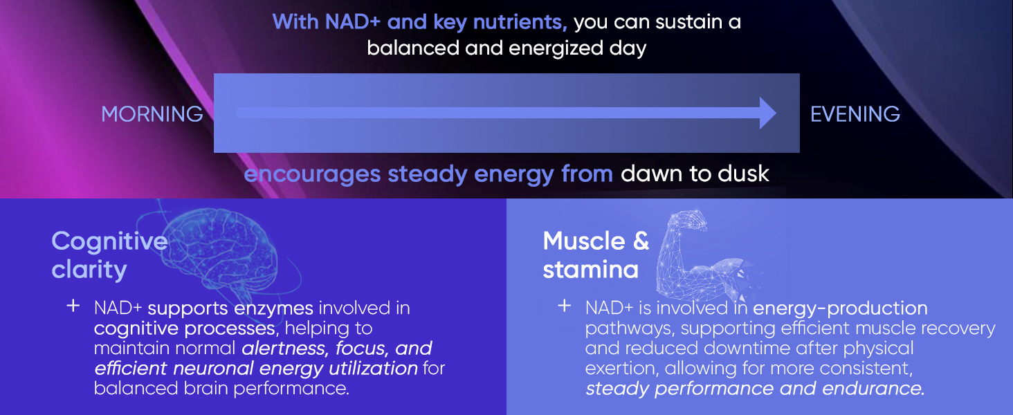Adndale Liposomal NAD Supplement. Longevity Formula NMN Supplement Alternative. 90CT Advanced NAD+ Resveratrol
