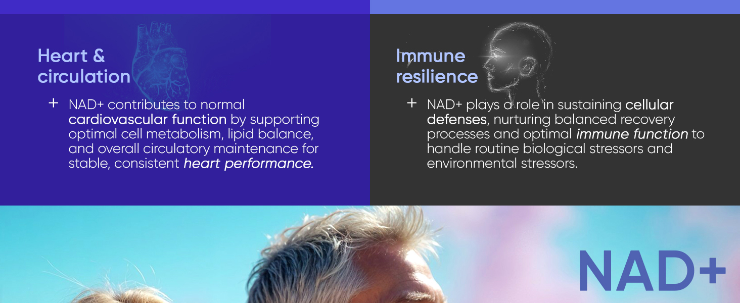 Adndale Liposomal NAD Supplement. Longevity Formula NMN Supplement Alternative. 90CT Advanced NAD+ Resveratrol