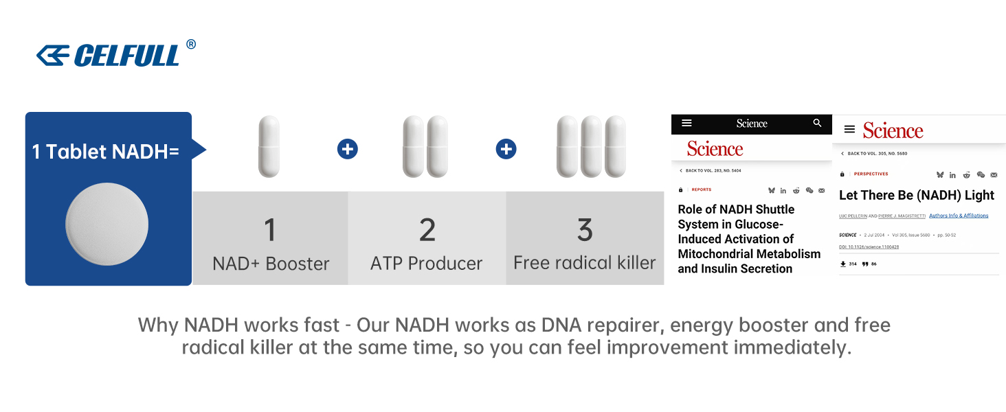 CELFULL NADH Supplement NMN Alternative NAD+ Supplement for Immune Support Anti-Aging Boost Brain Cognition & Chronic Fatigue Supplements