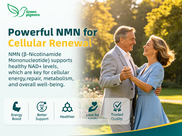 NMN Supplement – 10-in-1 NAD Supplement with Quercetin & Glutathione | TMG | Resveratrol– NMNH Alternative –Boosts Cellular Energy & NAD+ Level –120 Capsules NMN Complex 1000mg– Third-Party Tested
