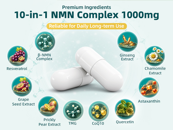 NMN Supplement – 10-in-1 NAD Supplement with Quercetin & Glutathione | TMG | Resveratrol– NMNH Alternative –Boosts Cellular Energy & NAD+ Level –120 Capsules NMN Complex 1000mg– Third-Party Tested