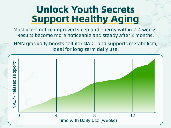 NMN Supplement – 10-in-1 NAD Supplement with Quercetin & Glutathione | TMG | Resveratrol– NMNH Alternative –Boosts Cellular Energy & NAD+ Level –120 Capsules NMN Complex 1000mg– Third-Party Tested