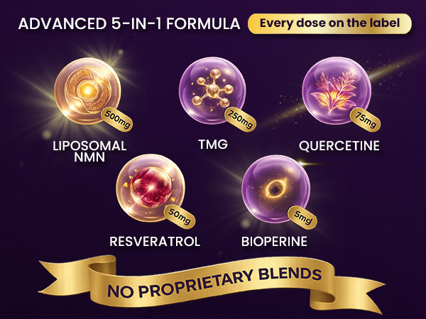 NMN Gummies 500mg – Liposomal NMN | 5-in-1 with TMG | Quercetin | Resveratrol | BioPerine® – NAD+ Precursor – Gelatin Free, Non-GMO, No Artificial Colors