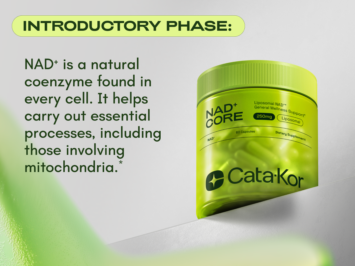 Cata-Kor NMN Supplement Alternative – Liposomal NAD+ Supplement - NAD CORE 30-Day Supply 60 Capsules