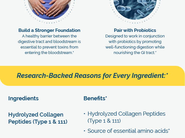Researched Nutritionals RenewGut - GI Complex to Support Gut Lining, Healthy Histamine Levels & Digestive Health - Collagen Peptides, Zinc Carnosine, DGL & N Acetyl Glucosamine (120 Capsules)
