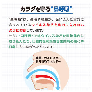 Breathe Right Standard Regular Skin Color Nasal Strips for Better Sleep & Snoring Reduction, 10 Count [Sato Pharmaceutical]