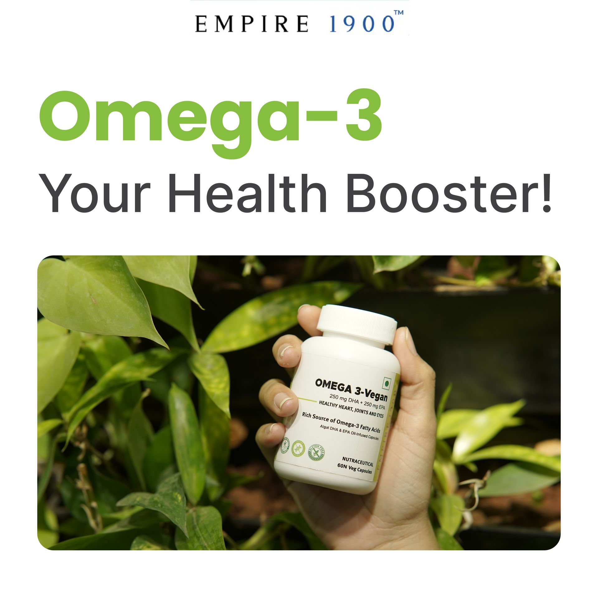 EMPIRE 1900 Omega 3 Vegetarian Capsule (EPA+DHA) | Sourced from Algae | Healthy for Men and Women | Benefits Eyes, Skin, Joints, Brain, and Heart | Suitable for Vegan Diet | Immune Health | (60 Capsules)