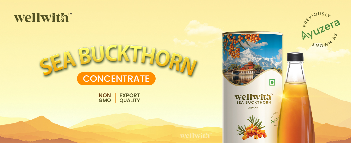 Wellwith by Ayuzera Natural Himalayan Sea Buckthorn Pulp 300ml | Cold Pressed Nutrient Rich Juice | Loaded with Vitamin C, Omega 3 6 7 9 & Antioxidants | For Skin, Immunity & Digestive Health