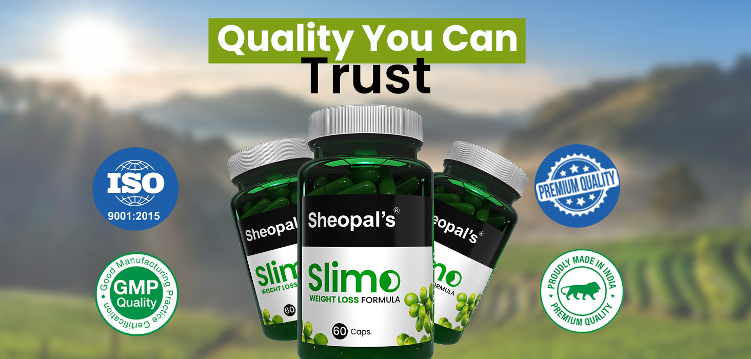 Sheopals Slimo Capsules - Chlorogenic Acid Capsules, 100% Natural Weight Loss Supplement, Boosts Metabolism, Supports Fat Burn, 60 Capsules