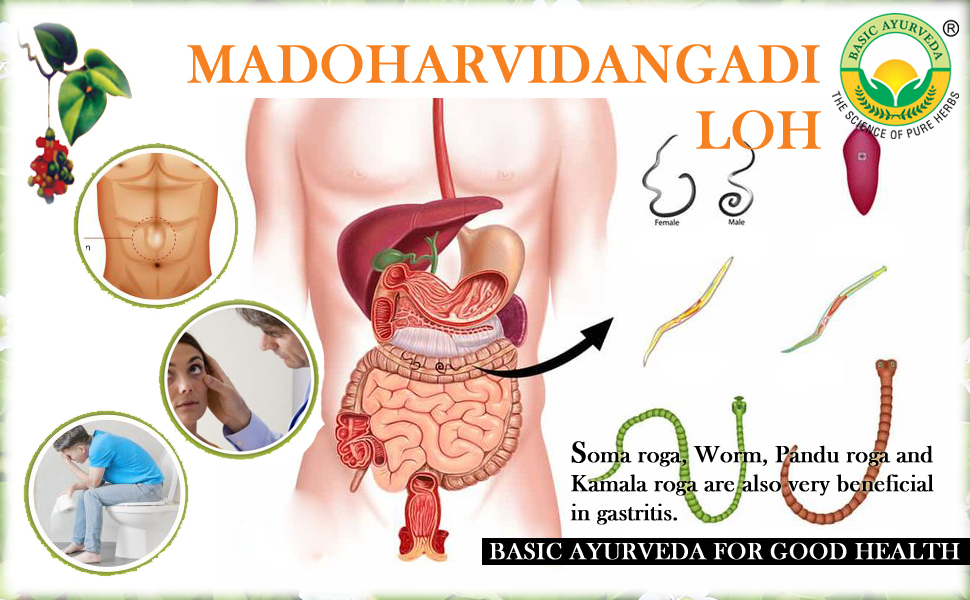 Basic Ayurveda Medoharvidangadi Loh Tablets - Pack of 3 (40 Tablets Each) | Ayurvedic Supplement for Metabolism Support | Traditional Herbal Formula for Men & Women