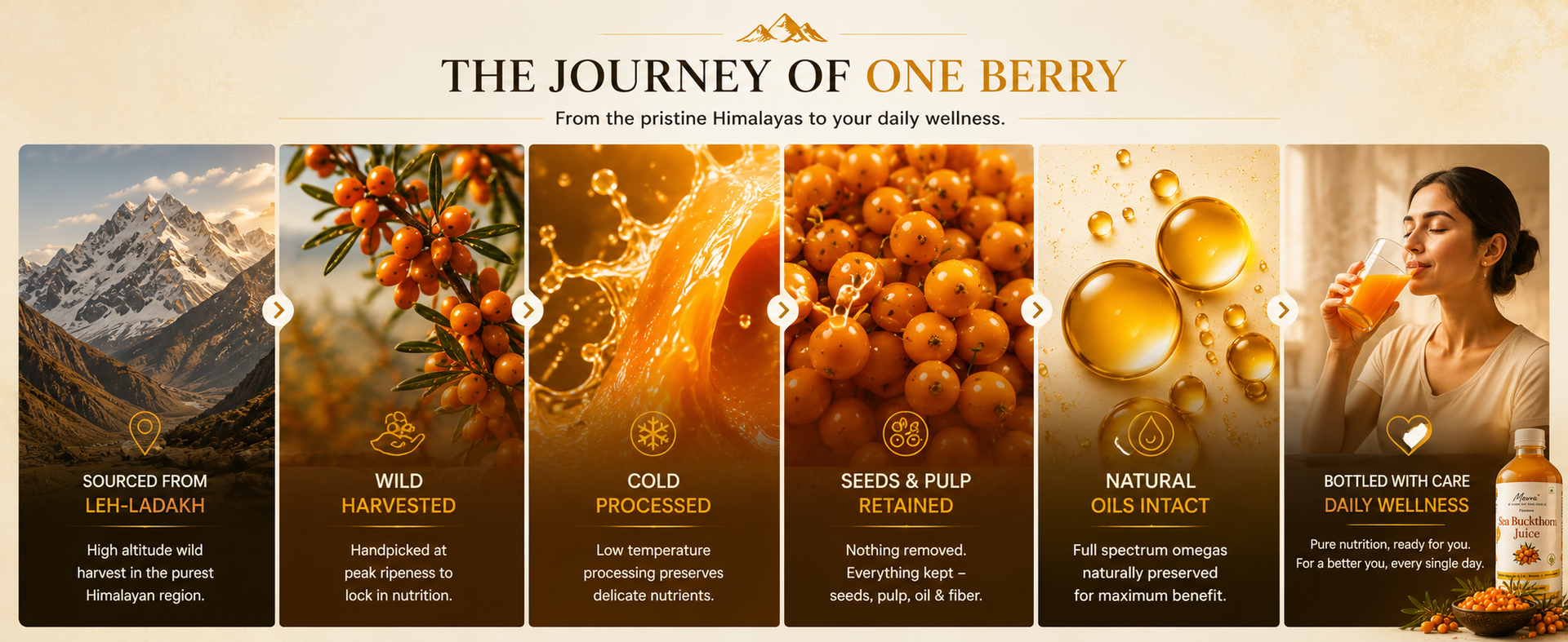 Mevva 100% Pure Himalayan Sea Buckthorn PULP/Juice 450ml