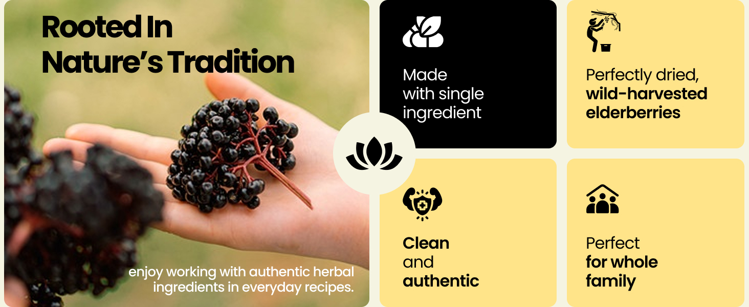 Herb To Body Organic Elderberry Dried Whole - 4oz Wildcrafted Sambucus Elderberry for Syrup, Teas, and Herbal Recipes