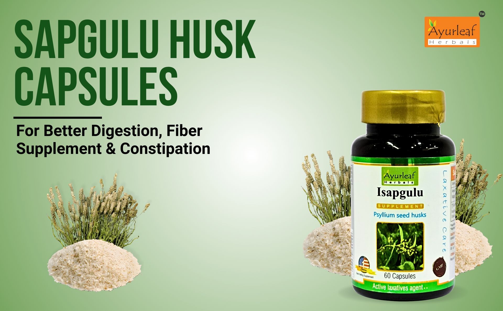 Ayurleaf Herbals Isapgulu Husk Capsules | For Better Digestion, Fiber Supplement & Constipation | 100% Natural Herbal supplement (Pack of 2, 120 Capsules)