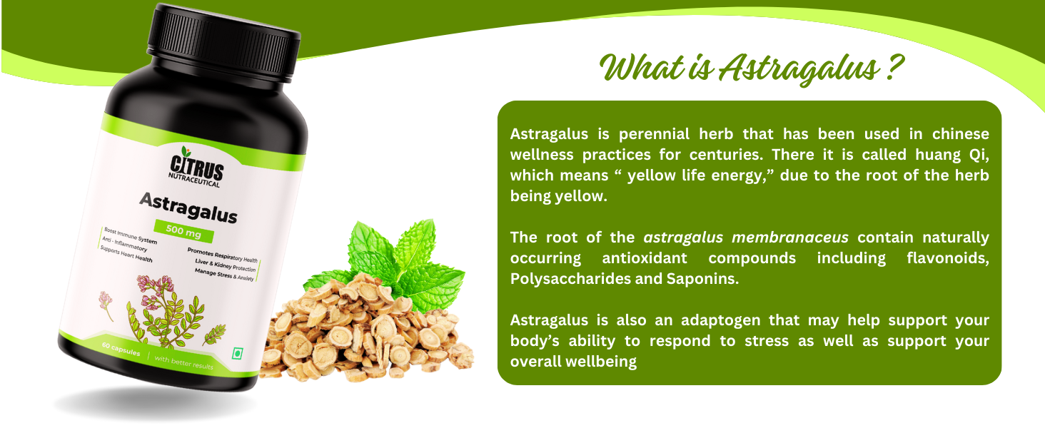 Astragalus Root Extract 500mg