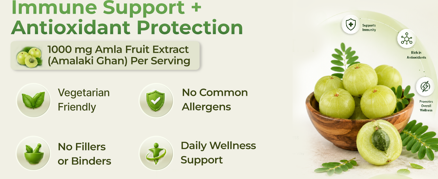 INLIFE Vitamin C Amla Extract Supplement, 1000mg, 60 Veg Capsules