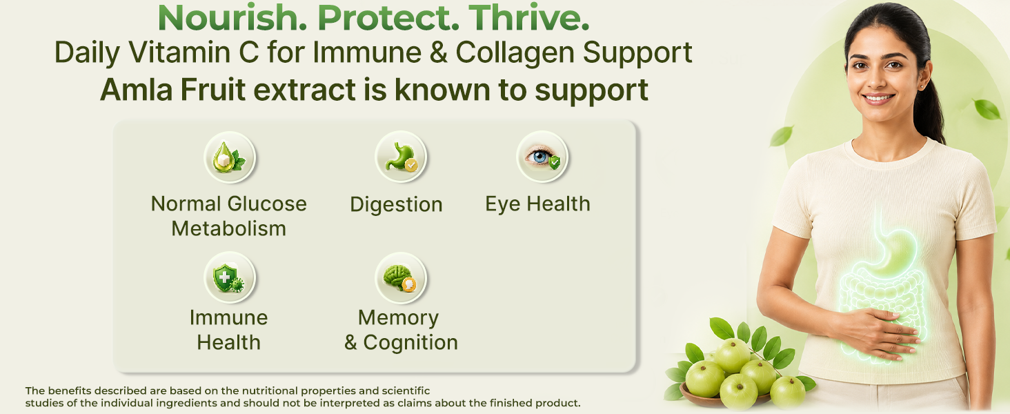 INLIFE Vitamin C Amla Extract Supplement, 1000mg, 60 Veg Capsules