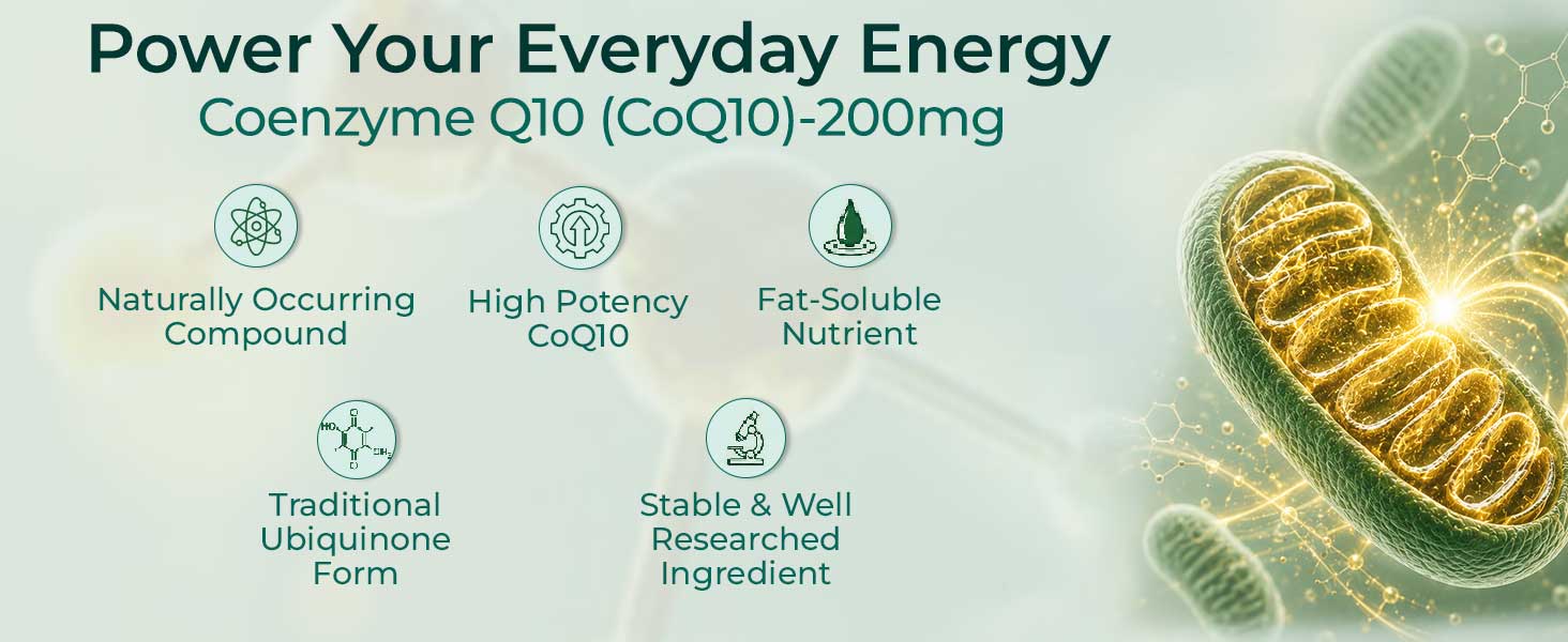 INLIFE Coenzyme Q10 CoQ10 200mg with Piperine Bioperine 8mg, 60 Capsules