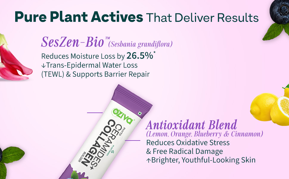 OZiva Phyto Ceramides+ Collagen Builder, Skin Hydration, Blueberry, 15 Tabs