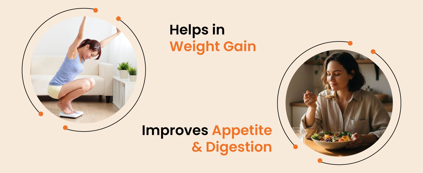 ZeroHarm GainWell Capsules | Ayurvedic Weight Gainer Supplement | Kaunch Beej, Kulanjan, Shatavari, Ashwagandha & Vidarikand | Improves Digestion, Appetite & Nutrient Absorption | 60 Capsules