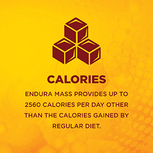 Endura Mass Weight Gainer Powder| Mass Gainer | Gain Weight, Post Workout, 74 g Carbohydrate, 15 g Protein, Healthy Fats (Chocolate, 1 Kg)