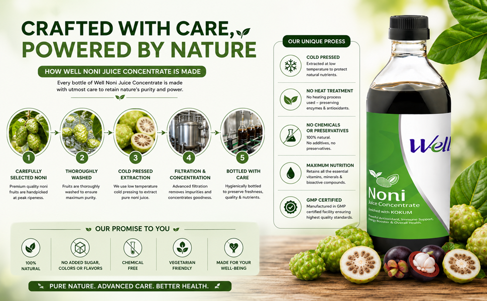 Well Noni Juice Concentrate Enriched with Kokum, 1 L