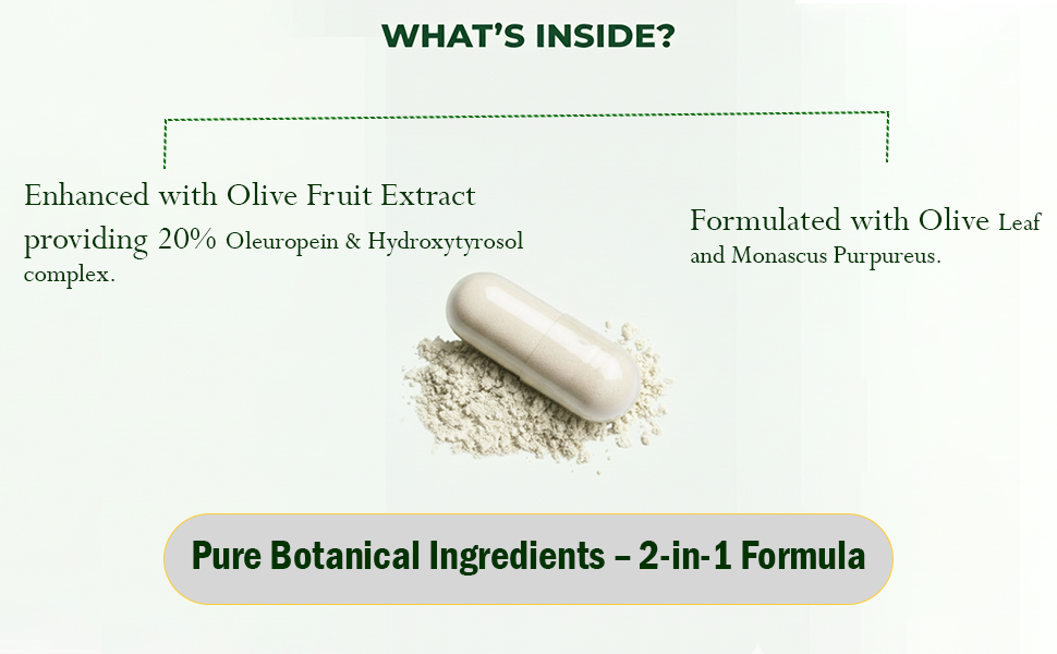 Zespo Olive Leaf Extract Capsules 20% Oleuropein & Fruit Complex, 60 Ct