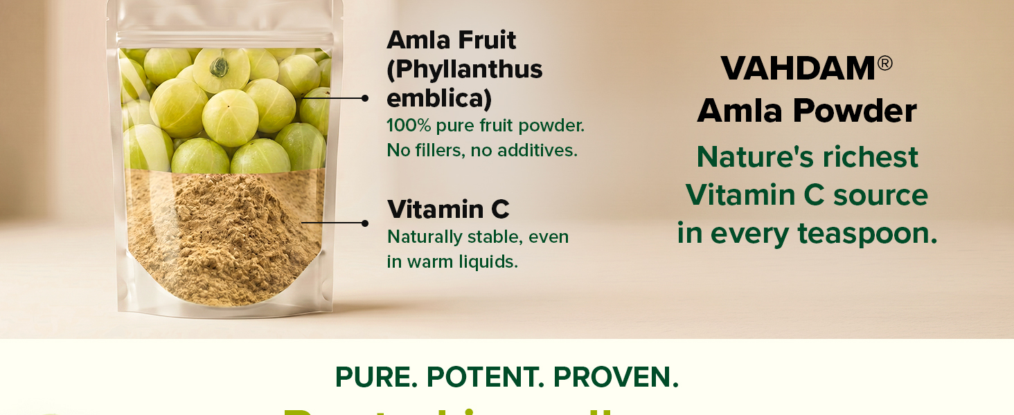 VAHDAM Amla Powder 200g | Natural Vitamin C Source | Supports Immunity, Hair & Natural Vitality | Ideal for Eating, Drinking & Skin | Vegan | 66 Servings