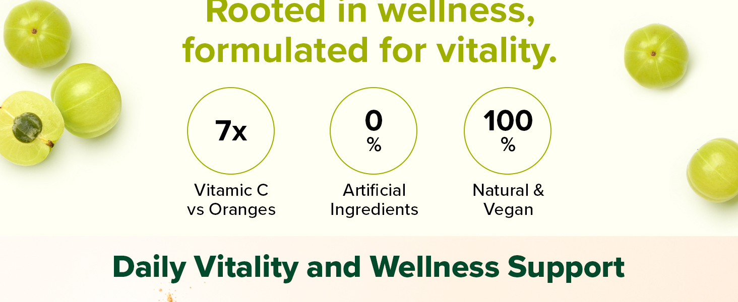 VAHDAM Amla Powder 200g | Natural Vitamin C Source | Supports Immunity, Hair & Natural Vitality | Ideal for Eating, Drinking & Skin | Vegan | 66 Servings