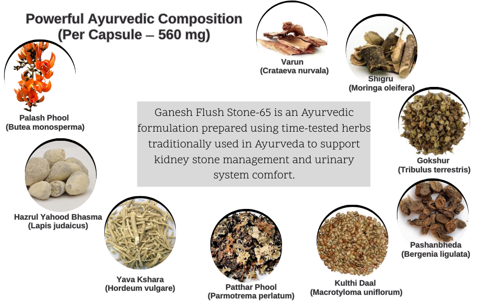 Ganesh Flush Stone 65 Ayurvedic Kidney Stone Capsules for Natural Kidney Detox, Herbal Support, Stone Removal, Inflammation Reduction & Kidney Health Protection - 60 Capsules