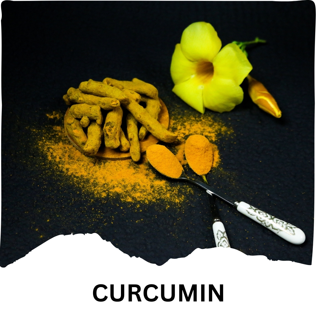 Humming Herbs Curcumin 905mg with Resveratrol, Quercetin, Vitamin D3, Zinc, Alpha Lipoic Acid & Piperine | 9-in-1 Herbal & Nutrient Blend | 90 Veg Capsules | 45 Days Supply