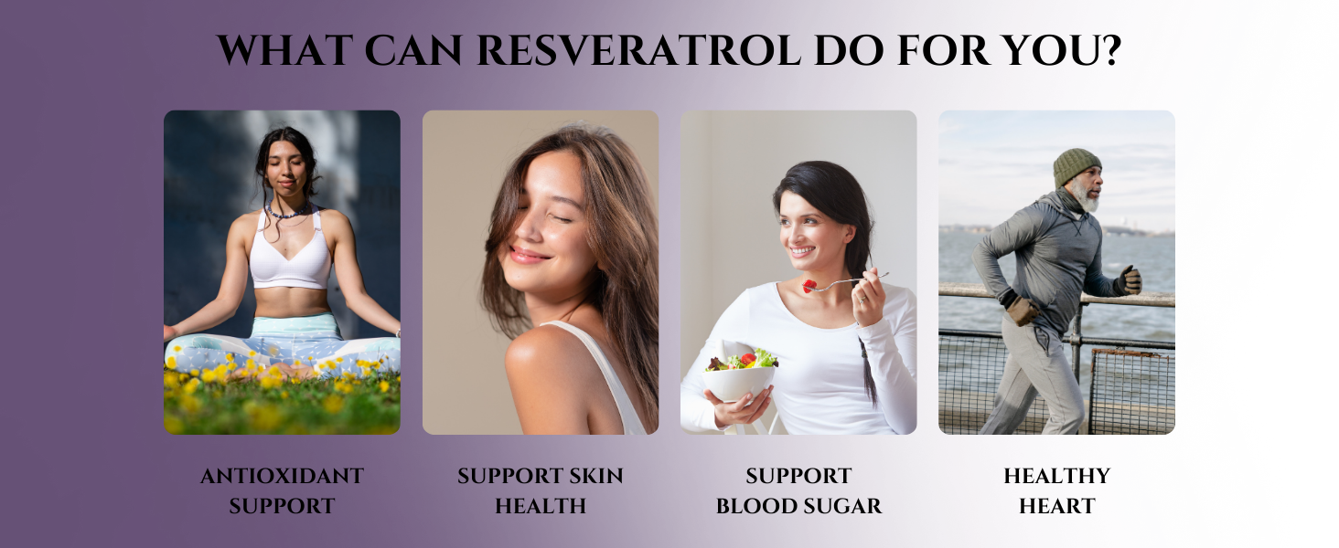 SETNUTRA | Trans Resveratrol 800mg with Quercetin | Dynamic 2 in1 Formula For Adults | Boosts NAD+ & Immune System | Cell Protection | 60 Capsules