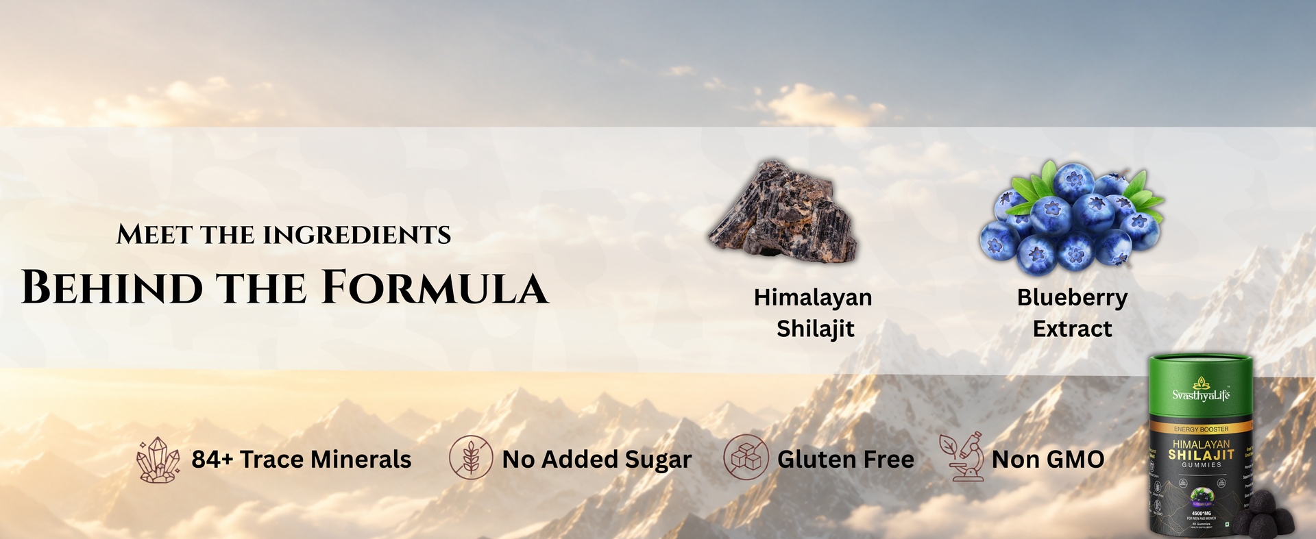 Himalayan Shilajit Gummies 4500mg with Fulvic Acid | Natural Energy & Focus Support | Blueberry Flavor | 60 Gummies | For Men & Women