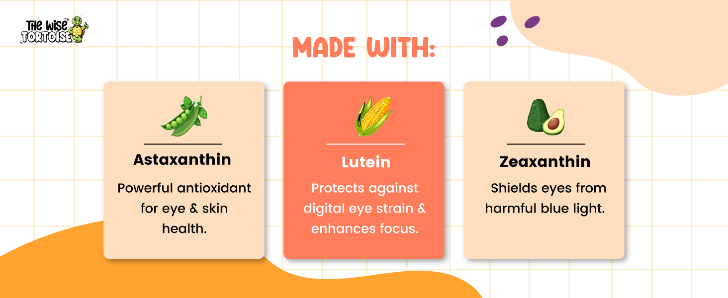 Visionary Eye & Brain Health Gummies for Kids (5–15 Yrs) | DHA + Lutein + Zeaxanthin for Daily Focus, Vision & Memory | 30 Gummies | Natural Olympic Orange Flavour | The Wise Tortoise