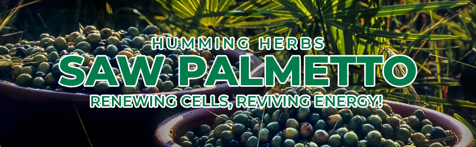 Humming Herbs Saw Palmetto Plus Urinary Support - Enhanced Formula with Quercetin, Turmeric, Pygeum, Vitamins E & B6, Zinc, Selenium for Men's Health - Veg Capsules - Herbal Supplement