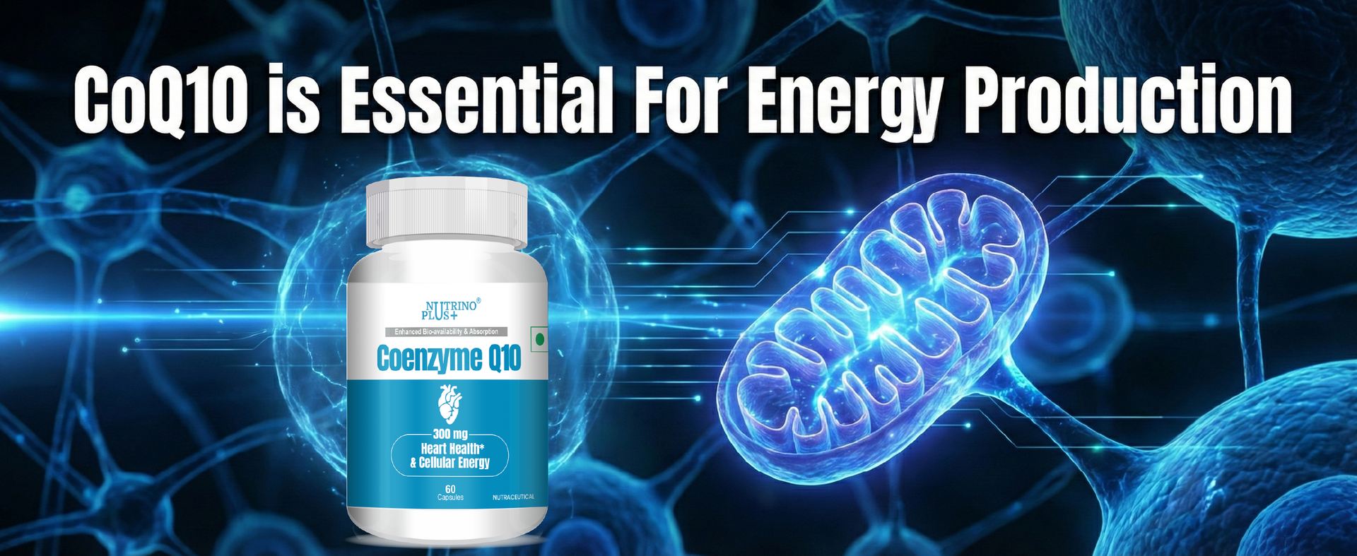 CoQ10 300mg Capsules | Coenzyme Q10 Supplement for Heart Function Support | High Absorption | Antioxidant Support | Veg Capsules | Formulated in USA | 60 Count | No Additives
