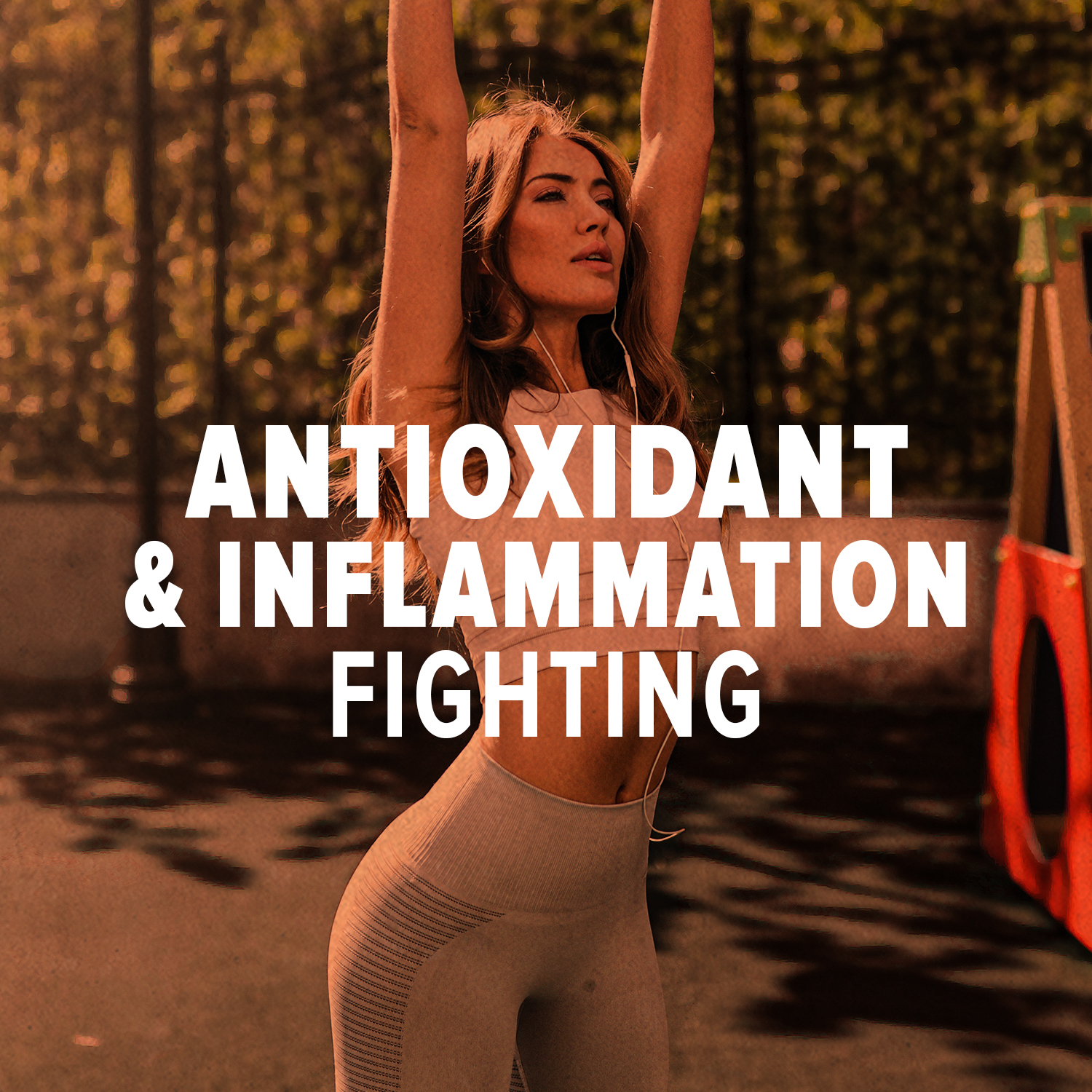 MyFitFuel Curcumin+ (95% Curcuminoids with Ginger Root Extract & Piperine 95%, 600mg, 90 Capsules)