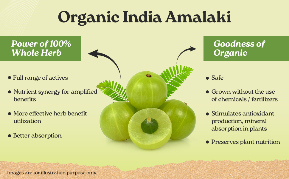 A TATA Product - Organic India Amalaki - 60 Veg Capsules, Natural Vitamin C & Antioxidants, Boosts Immune Response, Detoxify & Rejuvenate Digestive System, Reduce Acidity, GMP & NPOP Certified Organic