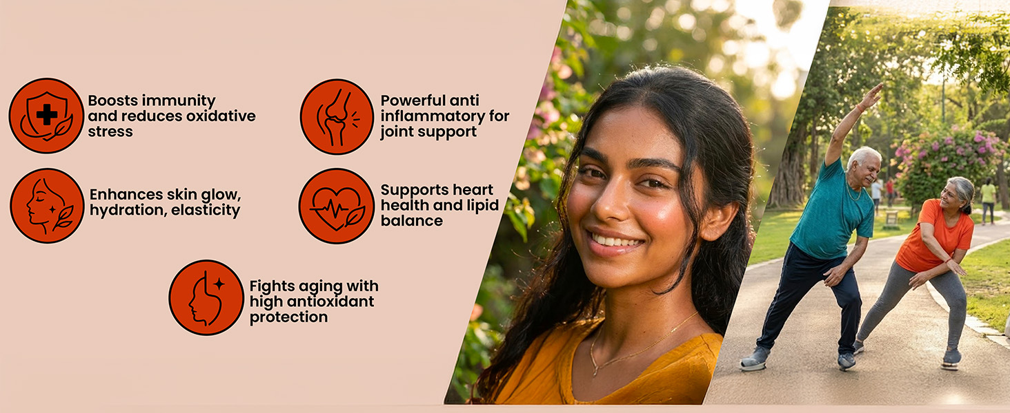 Bone & Joint Ultimate Stack | Bone Pro + Joint Pro + Sea Buckthorn & Curcumin Pro | Bone & Joint Support with Calcium, Magnesium, Vitamin D, K2, Omega 3-6-7-9 & Curcumin | Mobility, Flexibility, Cartilage, Recovery, Immunity & Healthy Aging Support