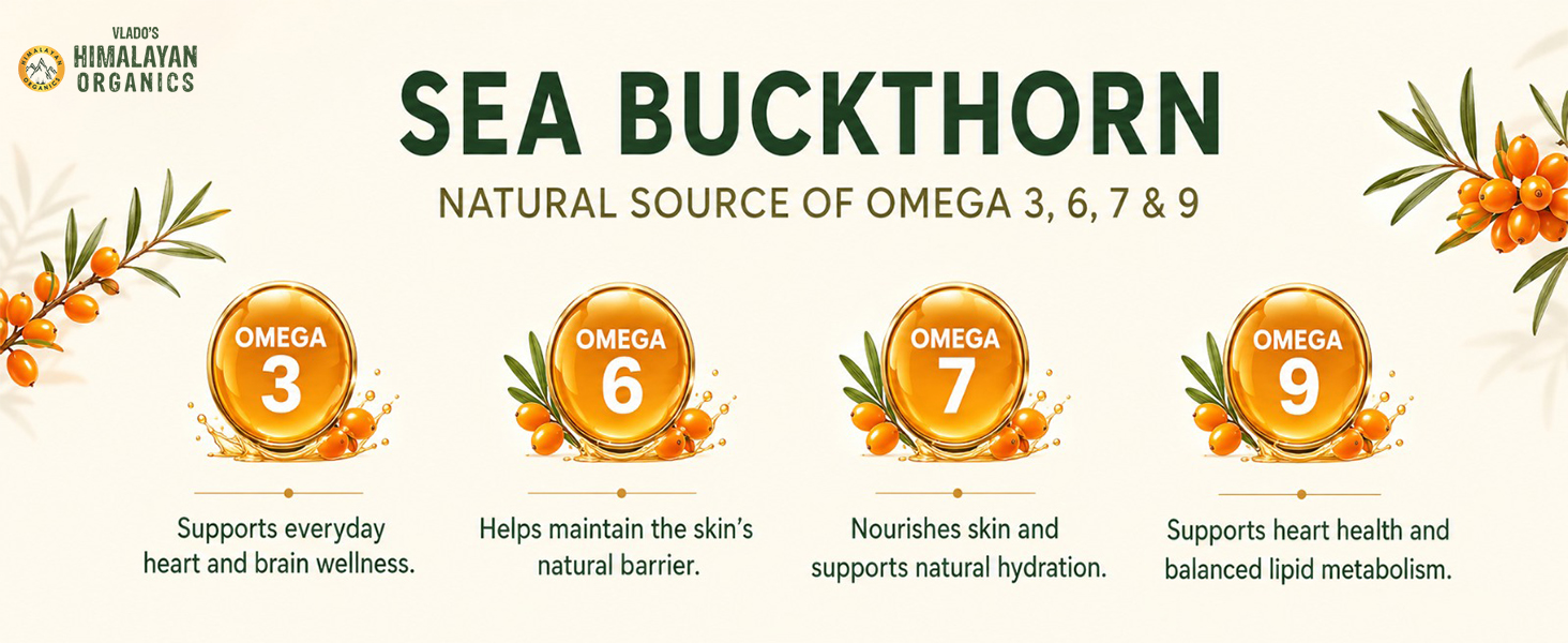 Vlado's Himalayan Organics Sea Buckthorn - 1200mg - Rich source of Omega 3-6-7-9 I 190+ Bio-active Elements ( vitamin A,B,C,D,E, ) Vitmain K - 18+ amino acids+ I Antioxidants, Immunity & Collagen Boosting, Supports Skin, Gut, Heart, Muscle, Bone - Direct source from ladakh- 60 Veg Extract Tablets