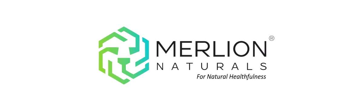 Merlion Naturals Garcinia Cambogia Tablets | Garcinia gummi-gutta | 500mg (120 Tablets)