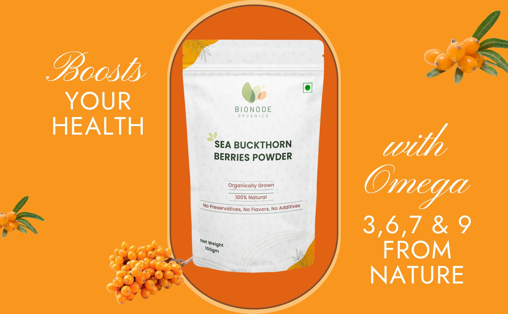 Sea Buckthorn Berries | Dry Seabuckthorn Berries powder | Rich in Omega 3,6,7,9 | Fibers, Omegas, Collagen, Vitamic C, Vitamin E | Dry Sea Buckthorn (Sea Buckthron Powder 100gm)