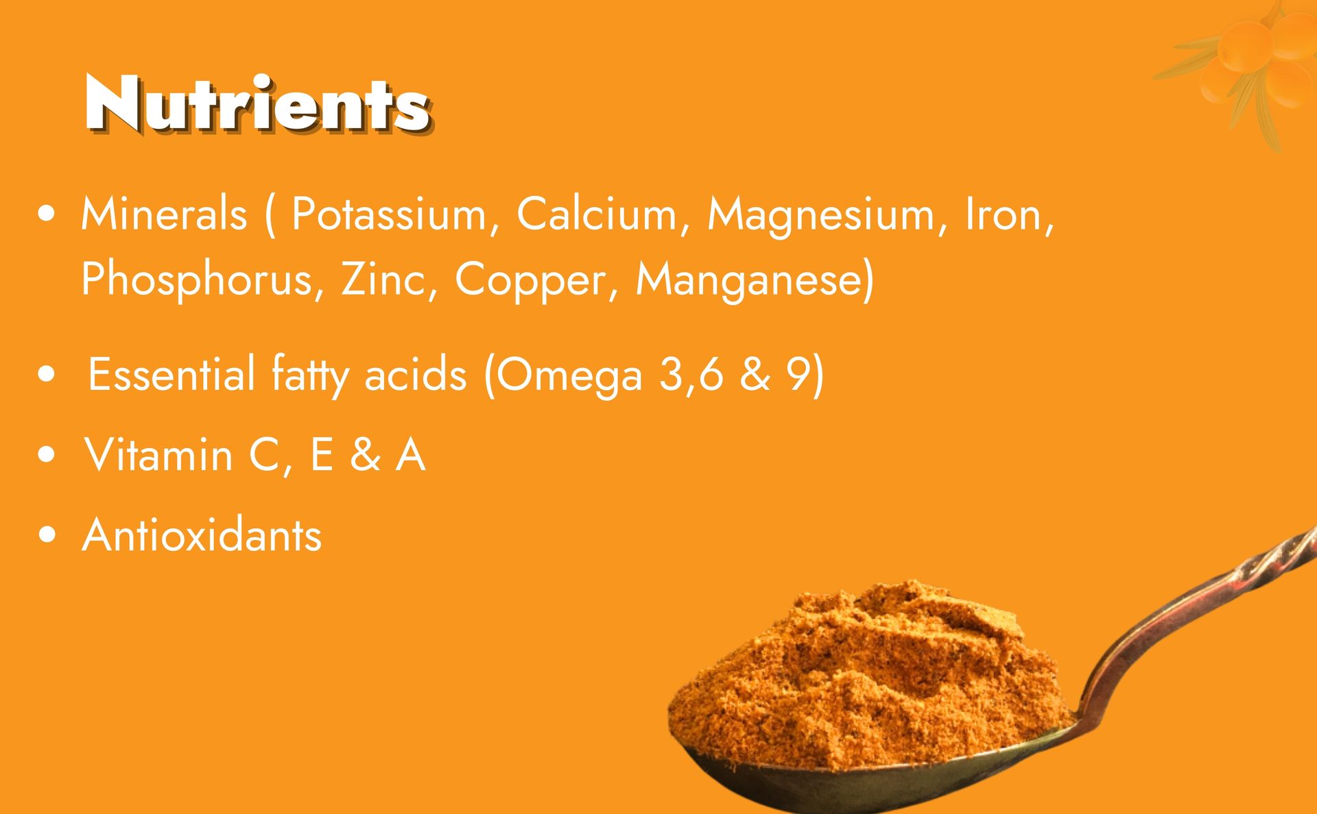 Sea Buckthorn Berries | Dry Seabuckthorn Berries powder | Rich in Omega 3,6,7,9 | Fibers, Omegas, Collagen, Vitamic C, Vitamin E | Dry Sea Buckthorn (Sea Buckthron Powder 100gm)