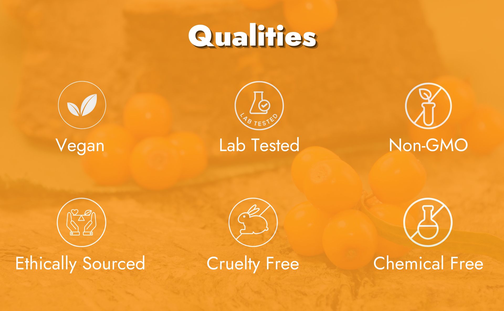 Sea Buckthorn Berries | Dry Seabuckthorn Berries powder | Rich in Omega 3,6,7,9 | Fibers, Omegas, Collagen, Vitamic C, Vitamin E | Dry Sea Buckthorn (Sea Buckthron Powder 100gm)