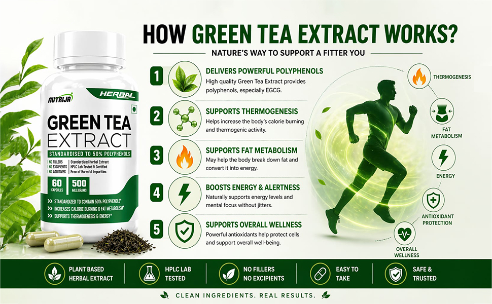 NutriJa Green Tea Extract 500mg | Standardized to 50% Polyphenols | 60 Capsules | Herbal Daily Wellness Supplement