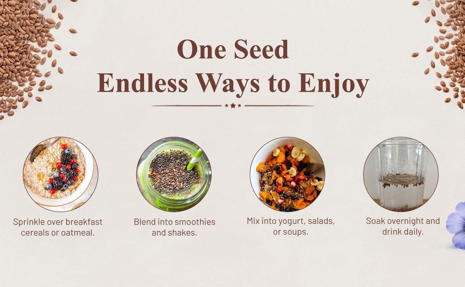 BEWON Flax Seeds | Alsi Seeds | Seeds for Hair Growth, Heart Health & Digestion | Source of Iron & Dietary Fibre | Rich in Protein (250g (Pack of 2))
