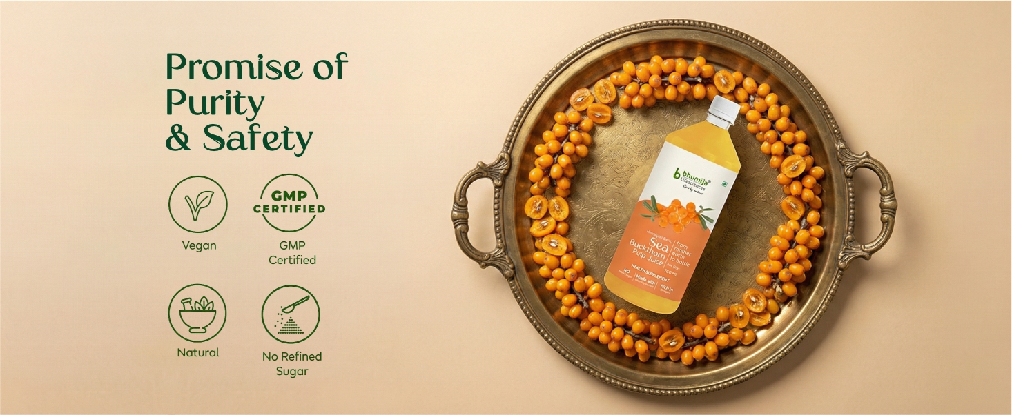 Bhumija Lifesciences Himalayan Sea Buckthorn Pulp Concentrate 500ml Juice