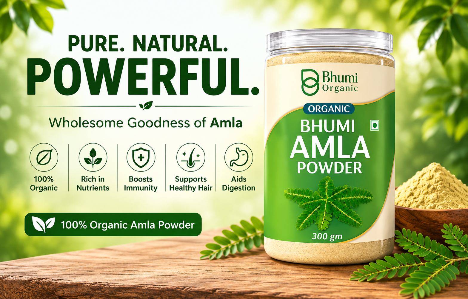 Bhumi Amla Powder For Eating 300g